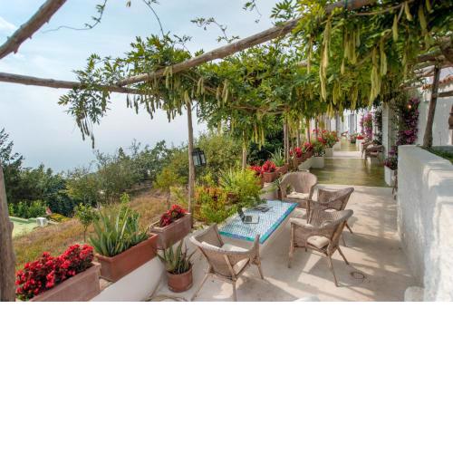 La Casa dell'Ulivo