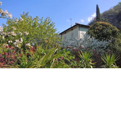 La Casa Di Bice