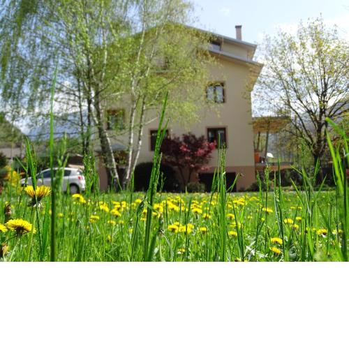 La casa di Clara