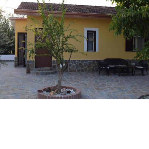 La casa di Ely