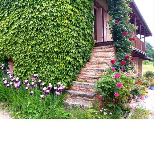 LA CASA DI GILINDO
