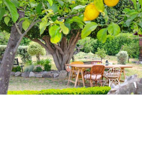 La Casa di Lina - Capo d'Orlando, casa con ampio giardino