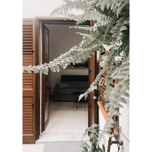 La Casa Di Maya