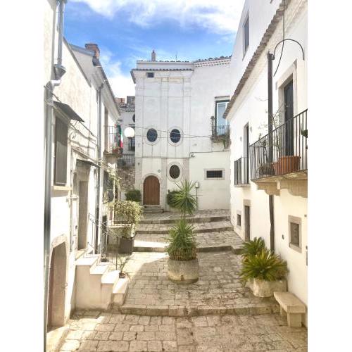 La Casa Di Noah