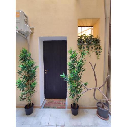 La casa di Ruggero19