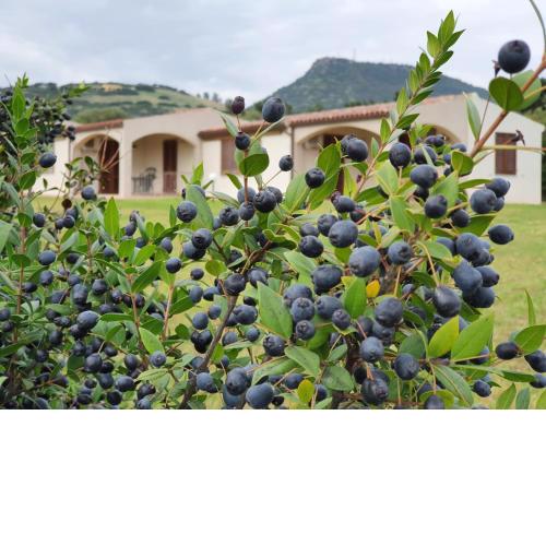 La Casa di Spinosella