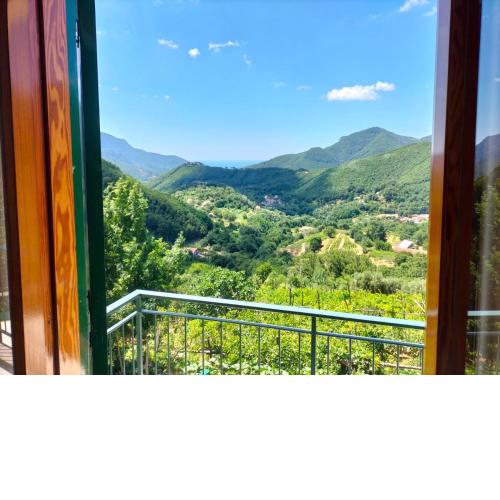 La Casa in Vigna