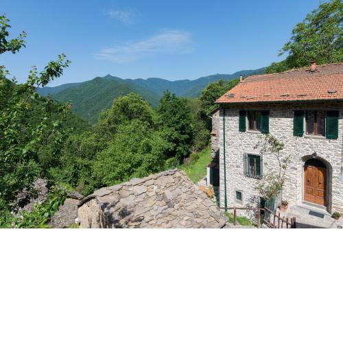 La casa nel bosco-senza auto