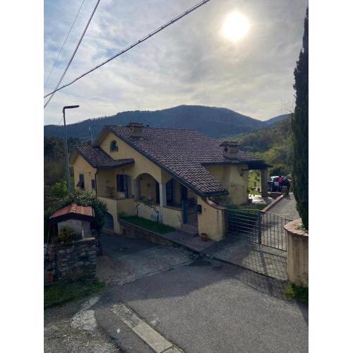la casa nel bosco