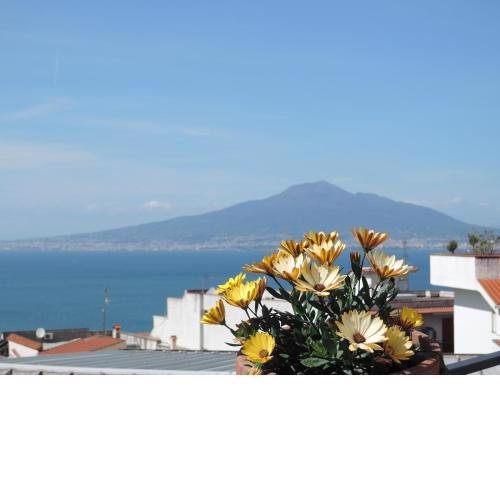La Casa nel Cortile