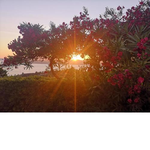La casa sul tramonto - Capoliveri