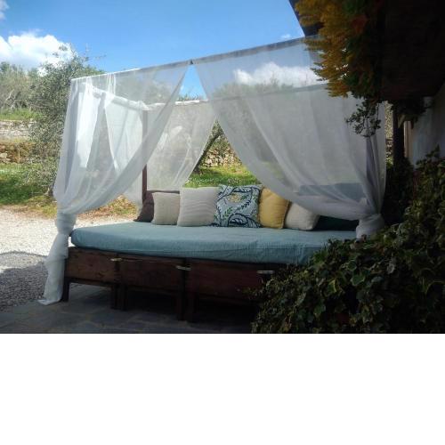 La Casa tra Gli Ulivi Cottage House