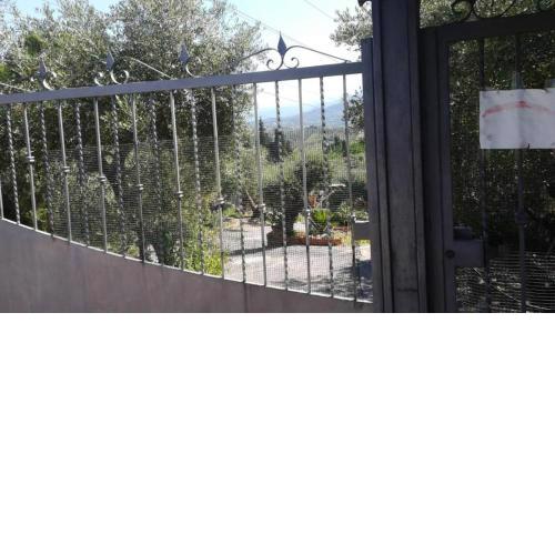 La casa tra gli ulivi di Fonte Nuova 1
