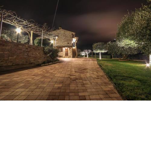 La Casa Tra Gli Ulivi
