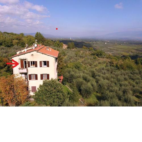 La Casa Viola