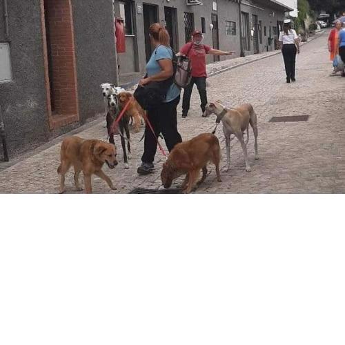 LA CASETTA DI ALE e del dog trekking