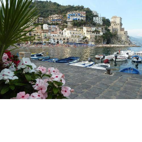 LA CASETTA DI MARY
