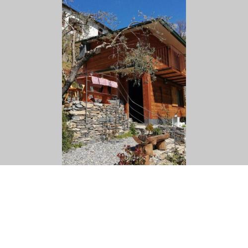 La Casetta di Molly tra ulivi e roseto