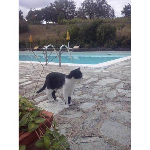 La casina di Tina