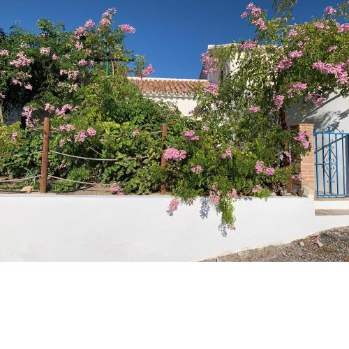 La Casita Blanca- La Almona Chica