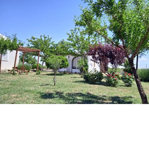 La Casita de los Almendros