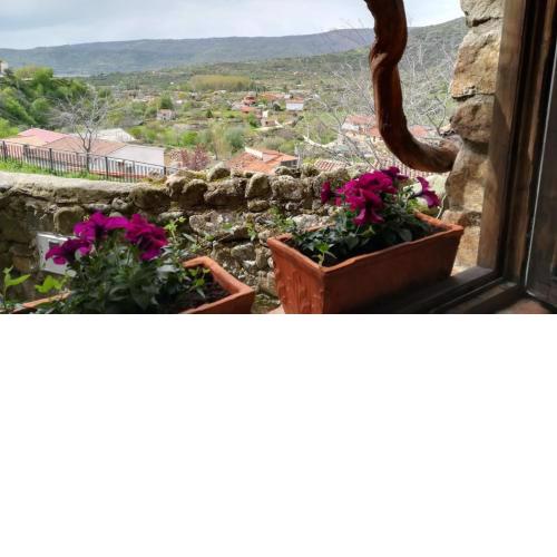 La Casita del Tejo