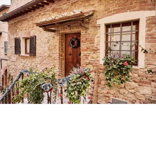LA CIVETTA