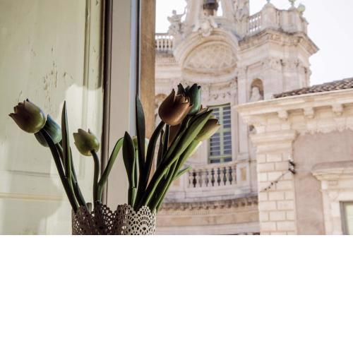 La Collegiata Guest House