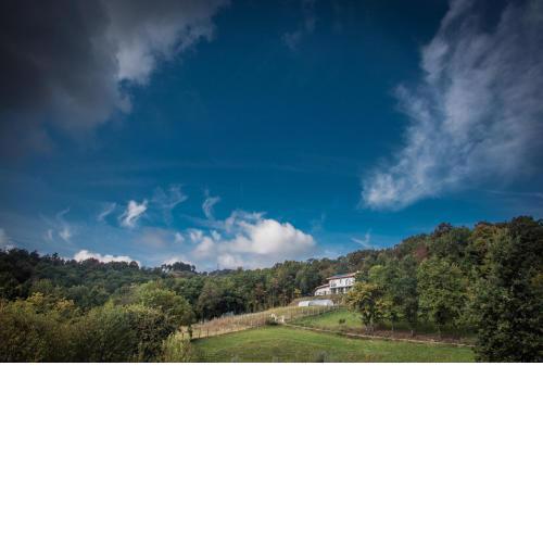 La Collina - Superga - 15km dal centro di torino