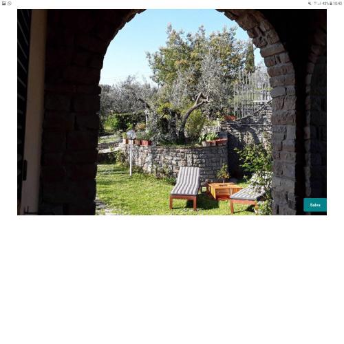 La collina degli olivi