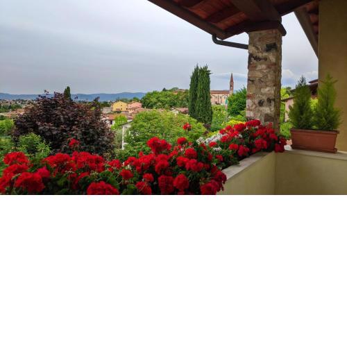 La Collina delle Acacie