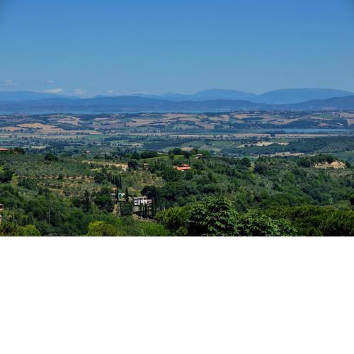 La Corte Medicea
