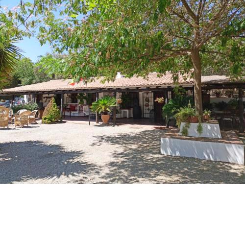 LA CUADRA, Finca privada a los pies de Sierra Nevada, a 10 minutos del centro, Jardín, Barbacoa