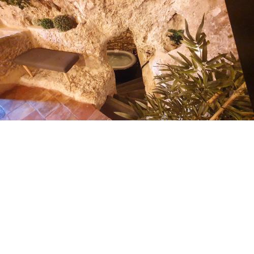 La Cueva de Casa Botes