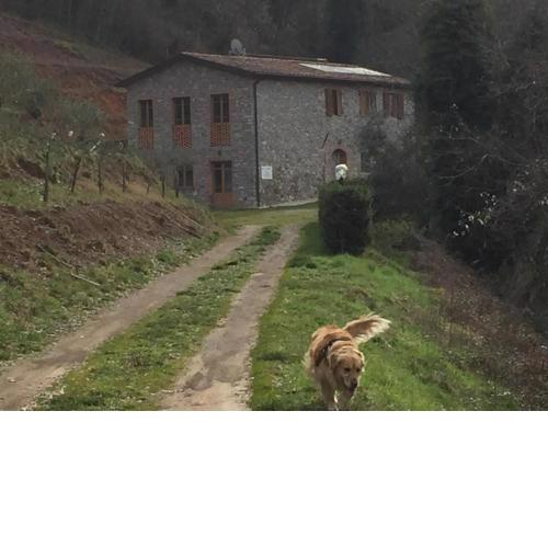 La Difesa
