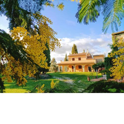 La Doganella