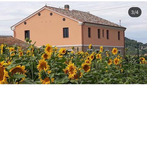 La dolce vita