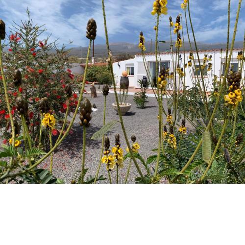 La Era Casa Rural