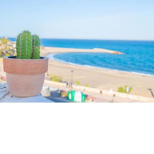 La Esperanza Beach- Zona Pubs y Restaurantes