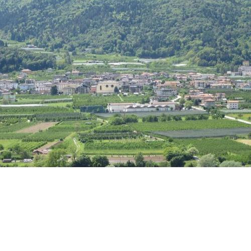 la farfalla di Susà