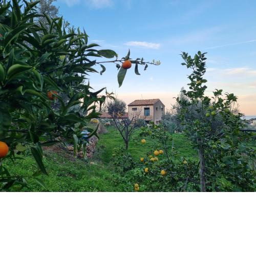 La Fattoria Sul Mare