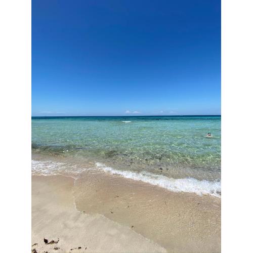 La Fenice sulla spiaggia