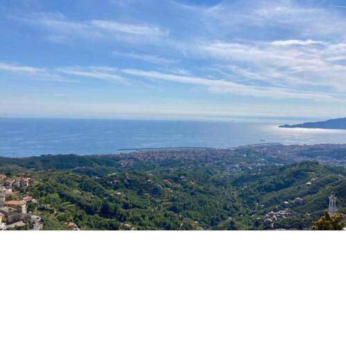 LA FINESTRA SUL GOLFO - CITRA 010018-LT-0033 -