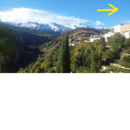La flecha hostel