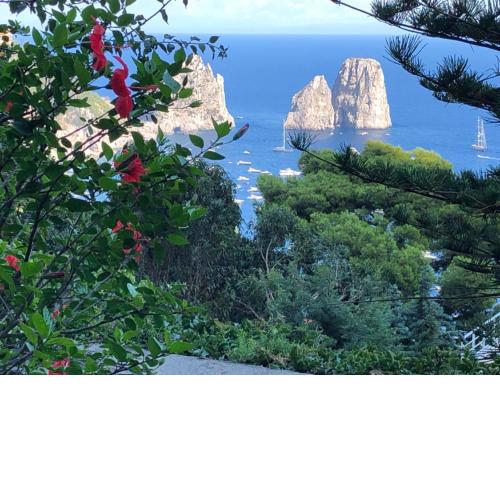 La Grande Bellezza