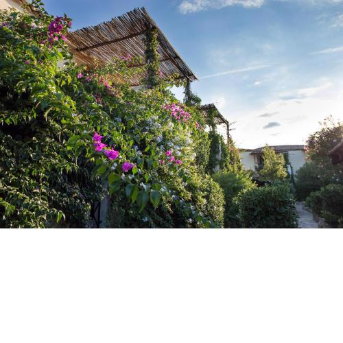 La Jacia Hotel & Resort