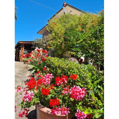LA LIMONARA B&B