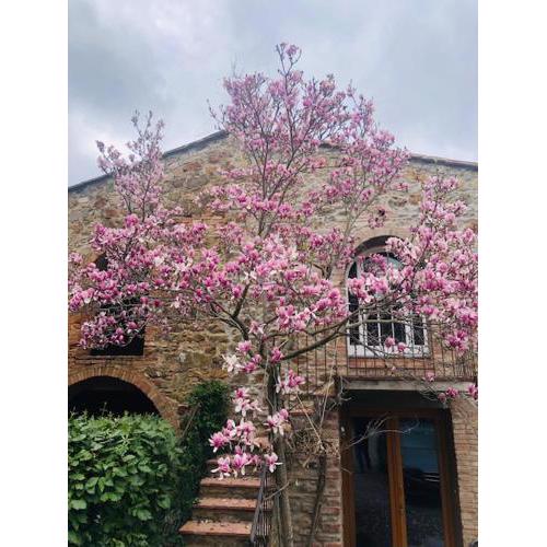 La Magnolia