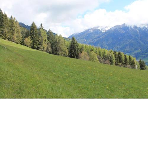 La Mansarda di Casa Vacanze La Vite