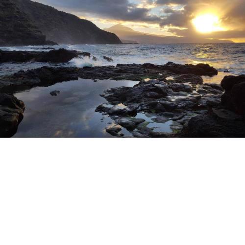 La Mar Salá